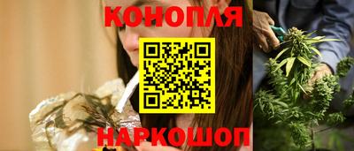 шишки Коммунар