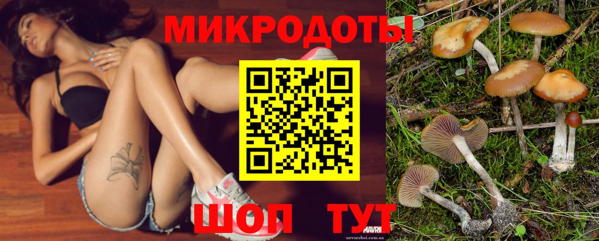Галлюциногенные грибы Psilocybine cubensis Клинцы