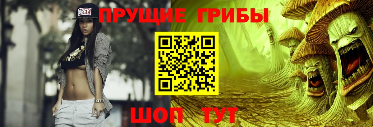 Псилоцибиновые грибы мицелий  Вход с VPN  Клинцы 